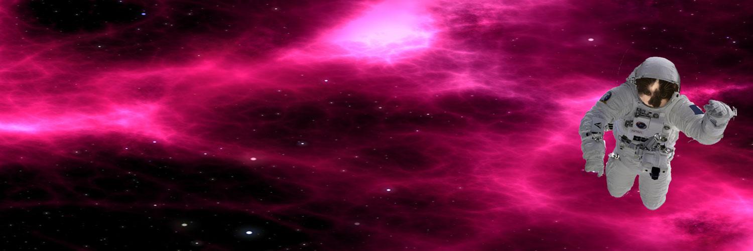 Paradoxes Universum banner