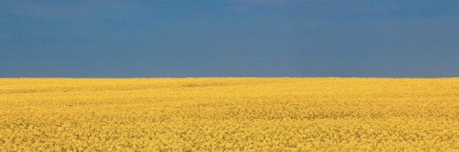 Redhawkmedicine's profile banner image