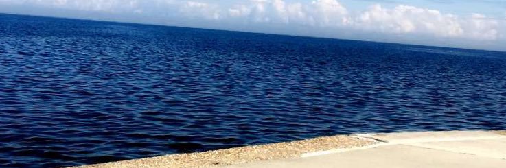 tarannn_'s profile banner image