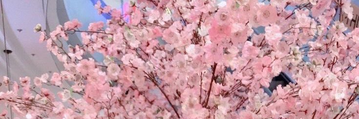 leen55_aa's profile banner image