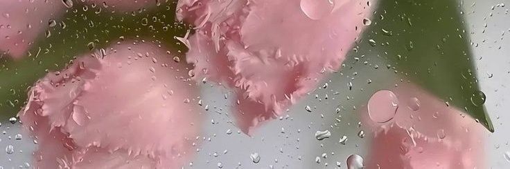 stylsx1's profile banner image