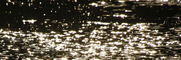 lechat0522 Profile Banner