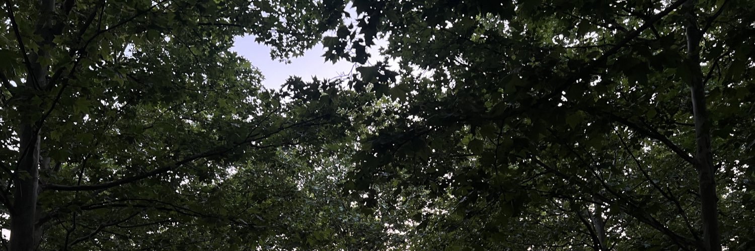 vsjackk's profile banner image