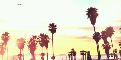 #offorever cambio pv banner