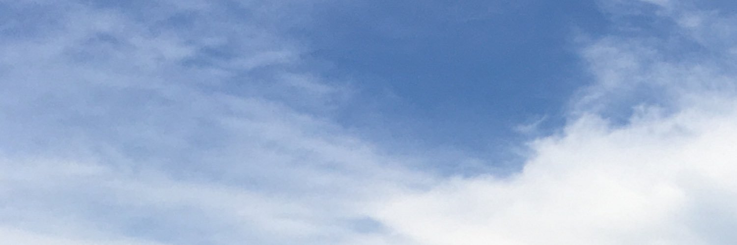 syarahchel's profile banner image