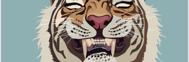 macarena0713's profile banner image