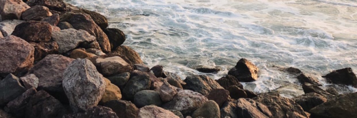 qaarlaleon's profile banner image