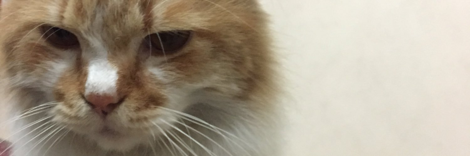 AfianFi's profile banner image