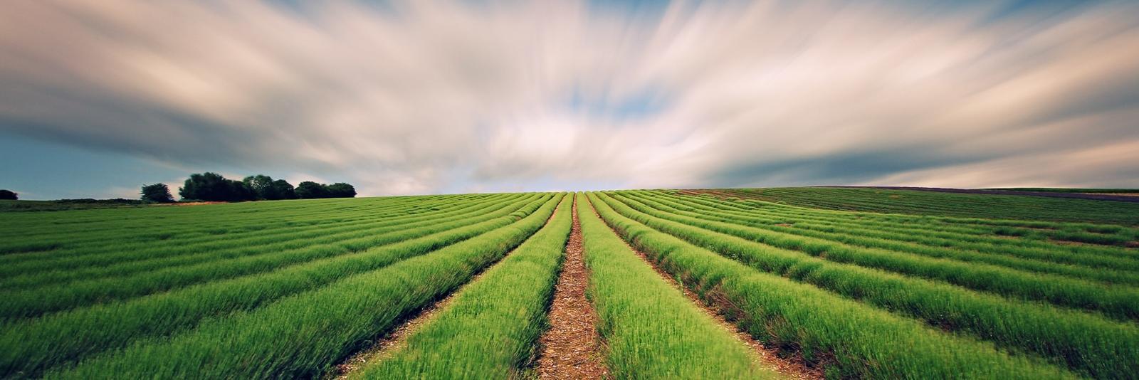 agroagroCom's profile banner image