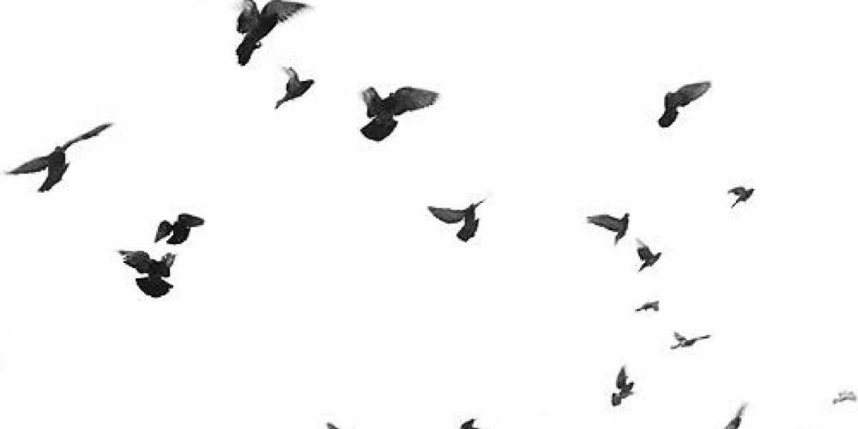 ziiy_'s profile banner image