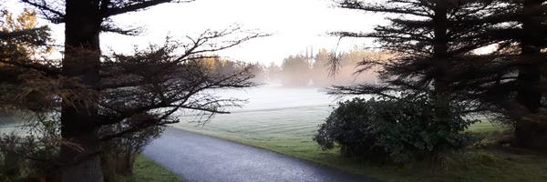 asdiso Profile Banner