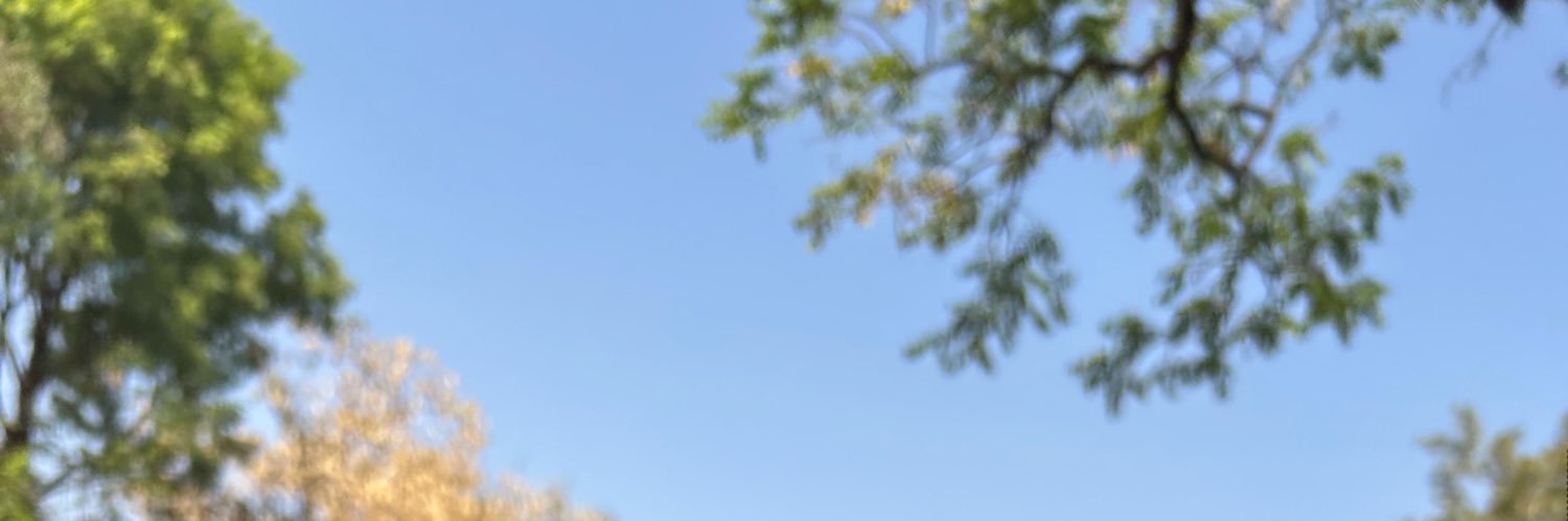 kate20477's profile banner image