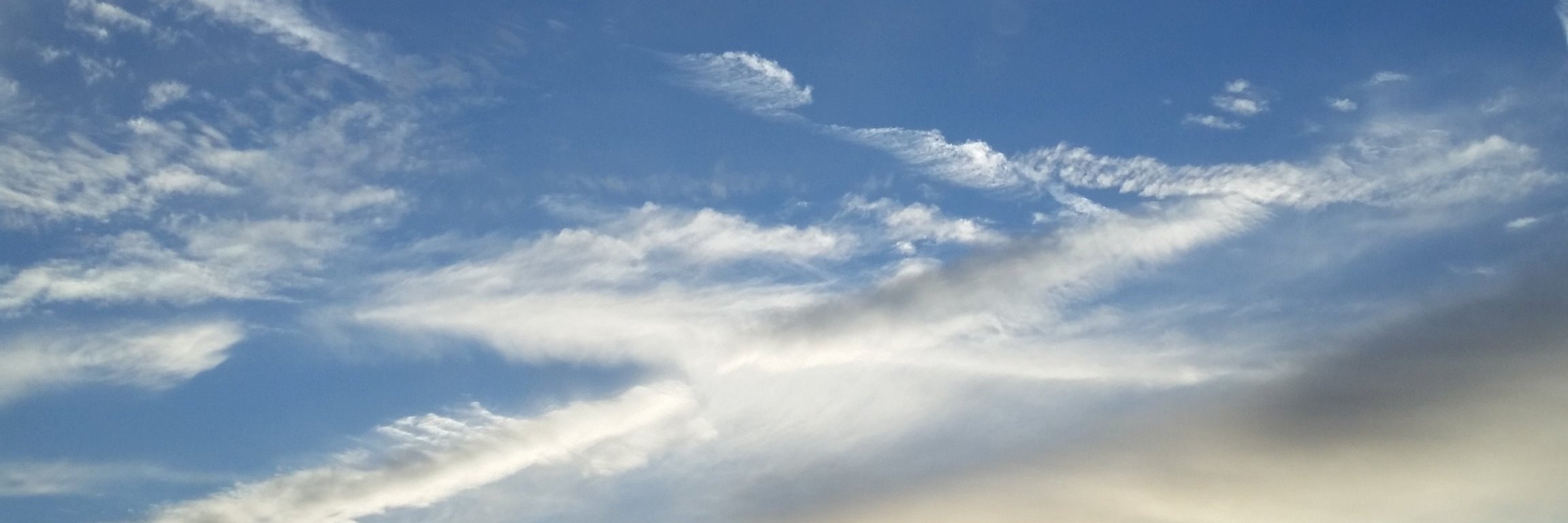 almacamera's profile banner image