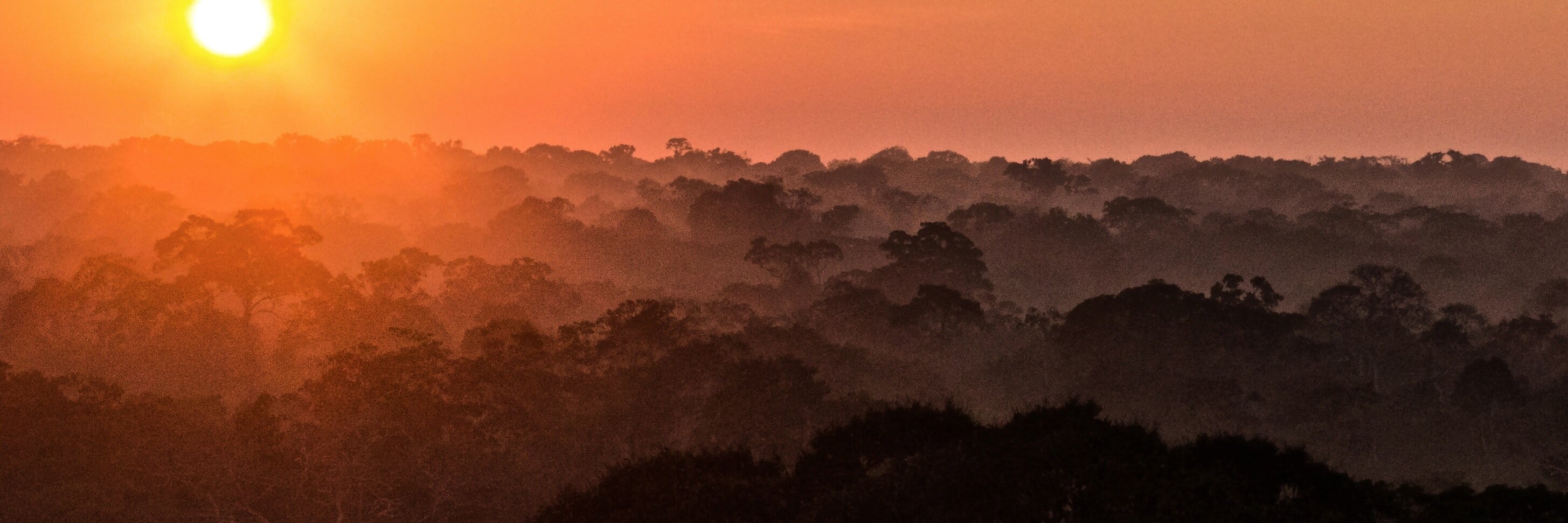 UnchartedAmazon's profile banner image