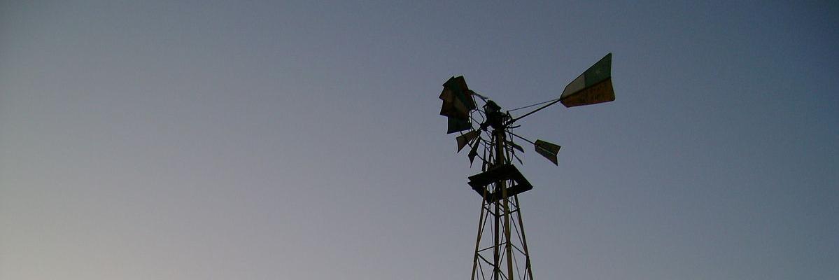 fecantos's profile banner image