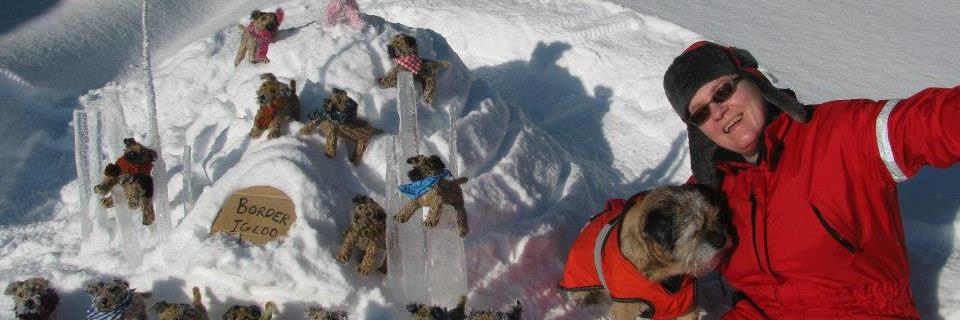 borderbears's profile banner image
