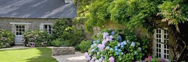 Mary6065's profile banner image