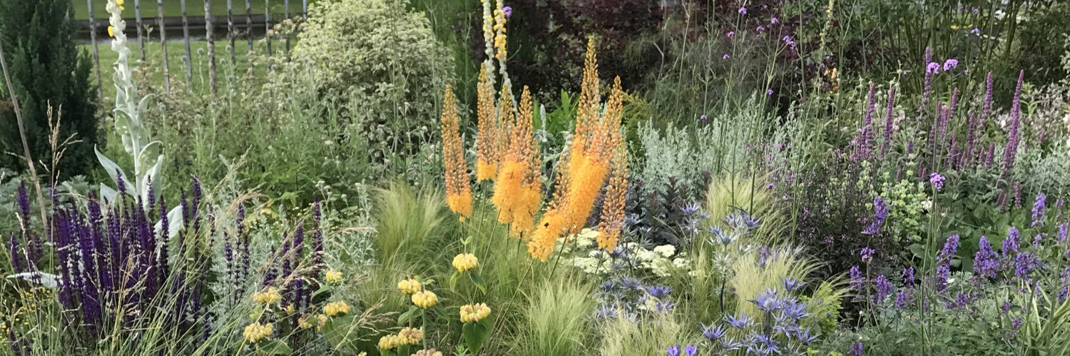 ARGgardendesign's profile banner image