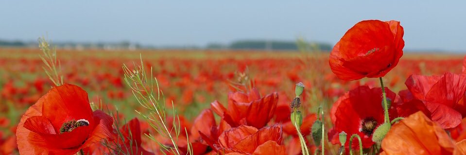 proudGhe's profile banner image