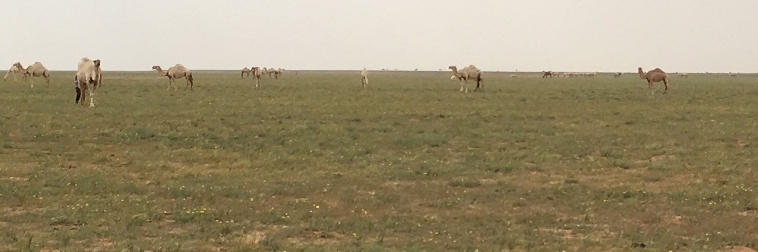 يوسف الحقان banner