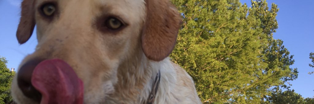 HaileyErickson3's profile banner image