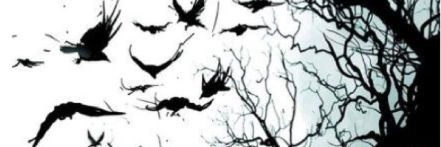 MistyCNevermore's profile banner image