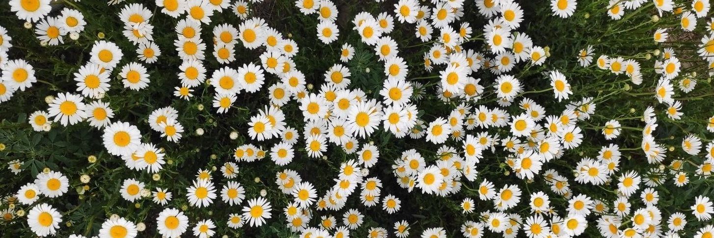 irami_macha's profile banner image