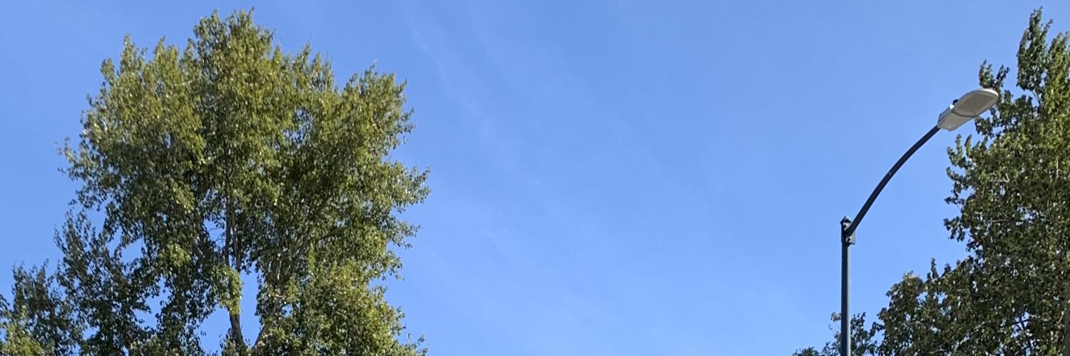 HanimePPLord's profile banner image