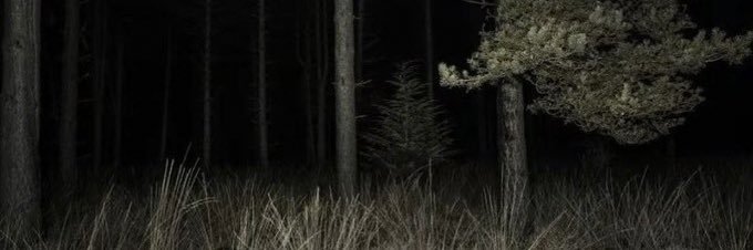 drrankmethod's profile banner image