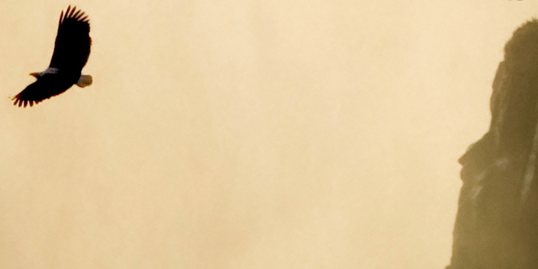 cosmicport's profile banner image