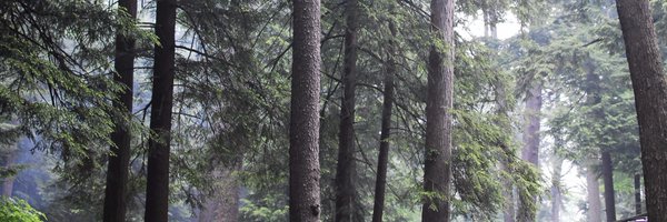 bydanielmoore Profile Banner