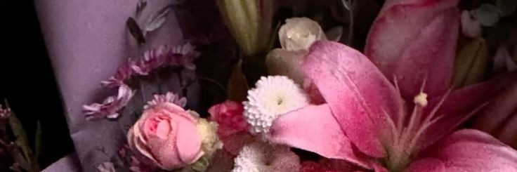 𝑵𝒆𝒛𝒆̲𝒊̲𝒓̲𝒂̲. banner