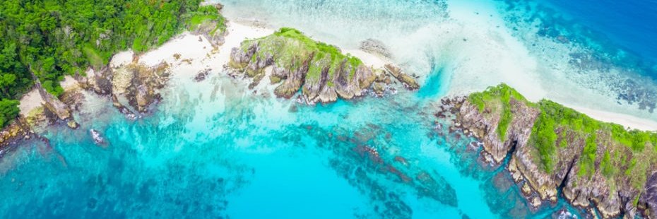 renaud cedric banner