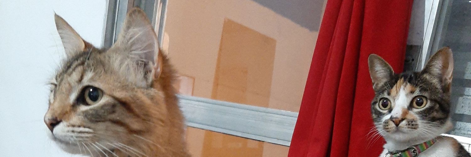 d_avim's profile banner image