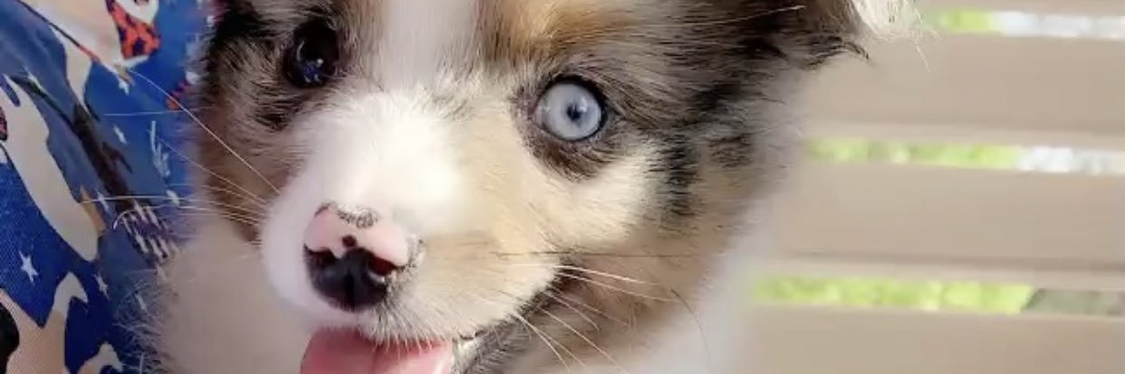 LeeperHope's profile banner image