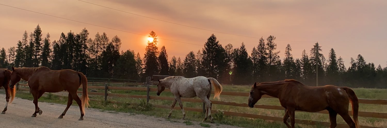 ThreeBarsRanch's profile banner image