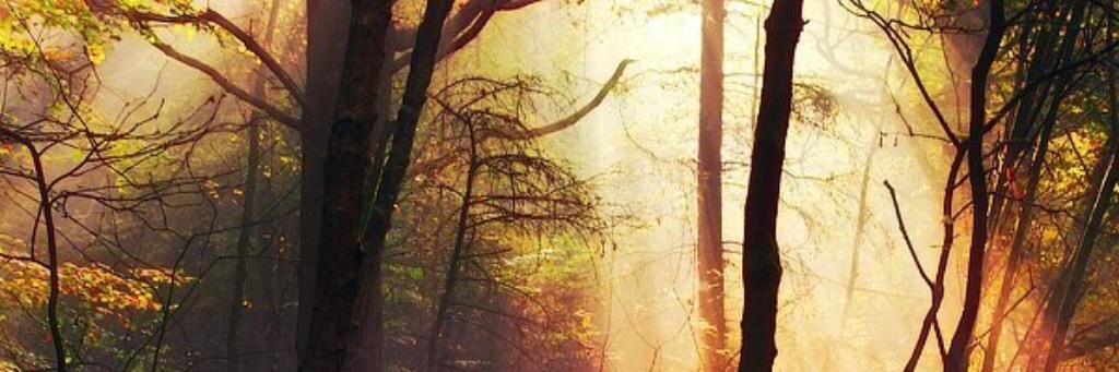 WinchesterDeath's profile banner image