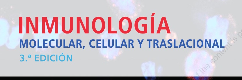 MariaCJimenezM's profile banner image