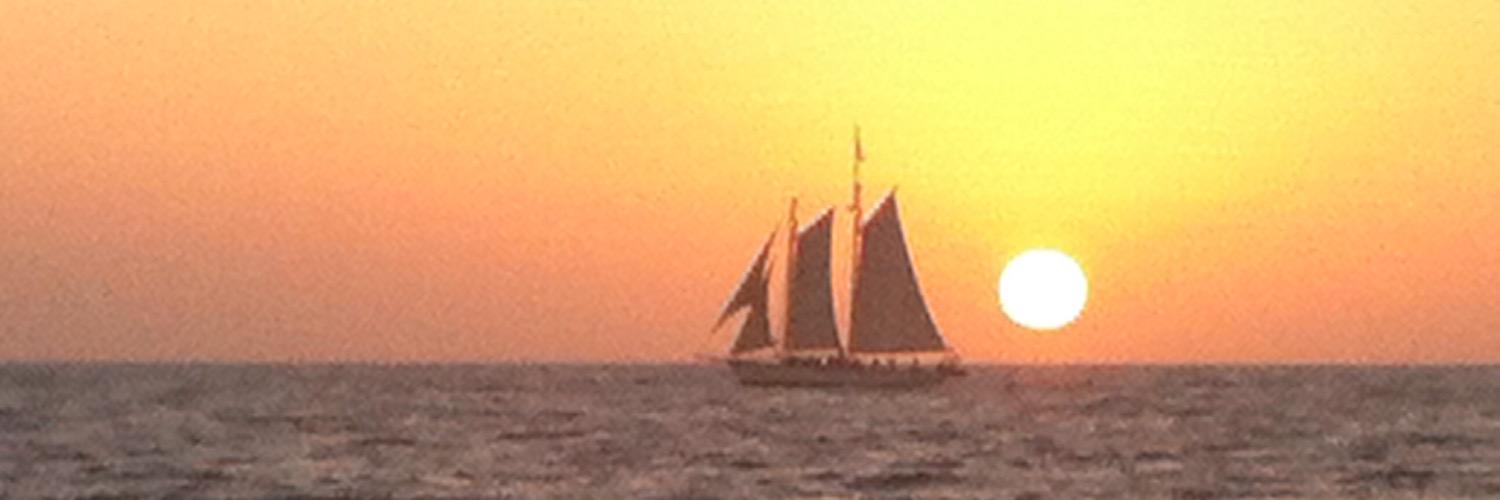 webvanz's profile banner image