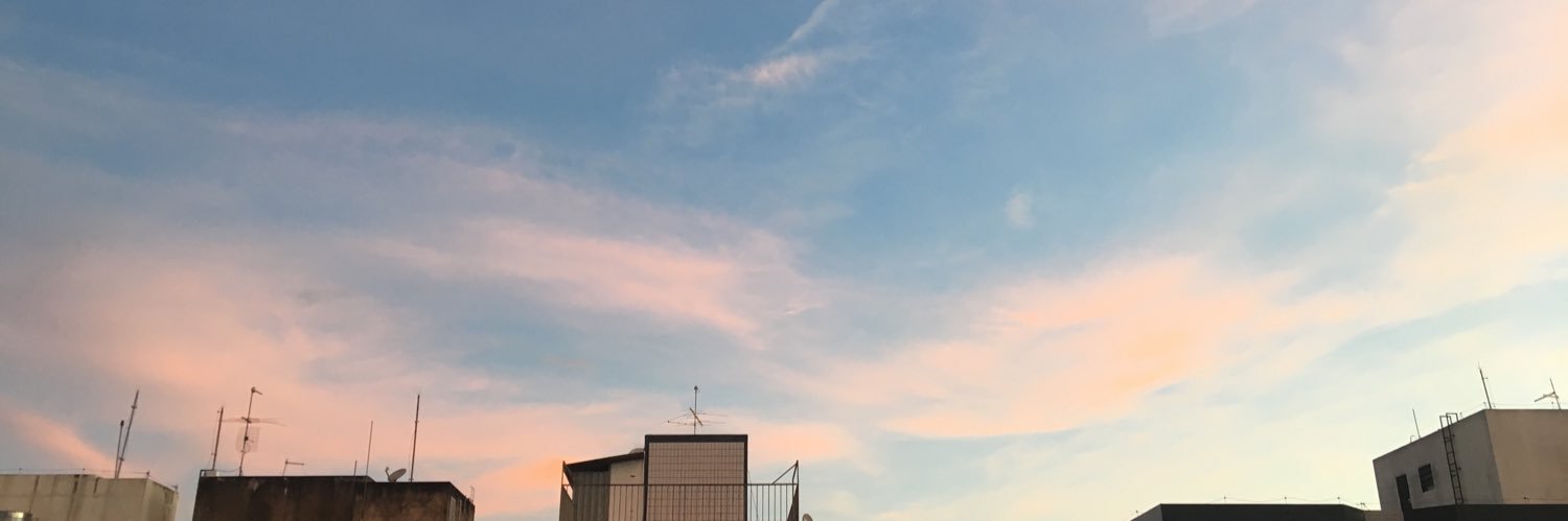 spindoloona's profile banner image