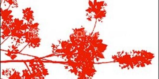 Ternoda's profile banner image