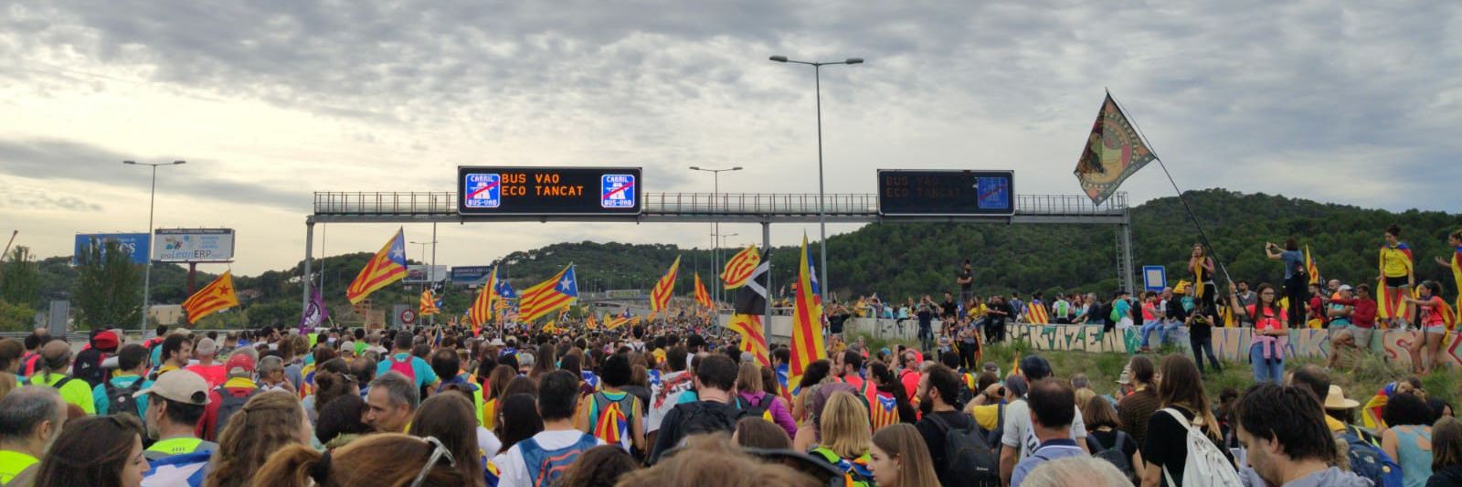 Martallunatica's profile banner image