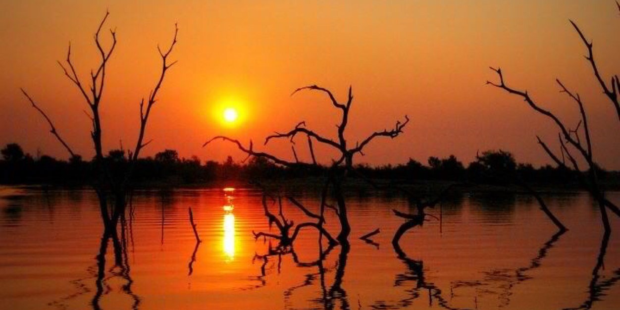 anne_gobin's profile banner image