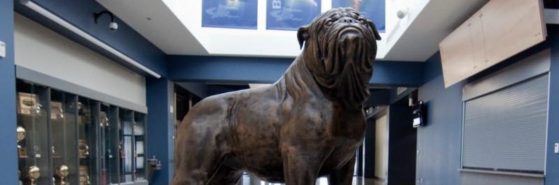 Derek Engelbart banner