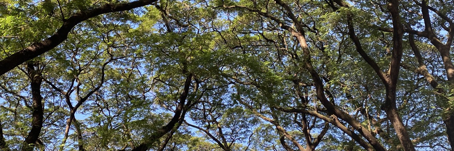 ashdfgjkeith's profile banner image
