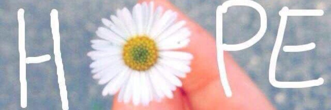 Just_Gbolly's profile banner image