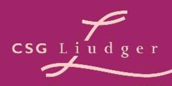 LiudgeStripboek's profile banner image