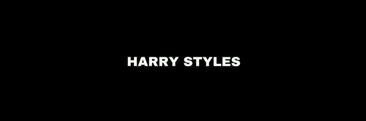 styIesartistic's profile banner image