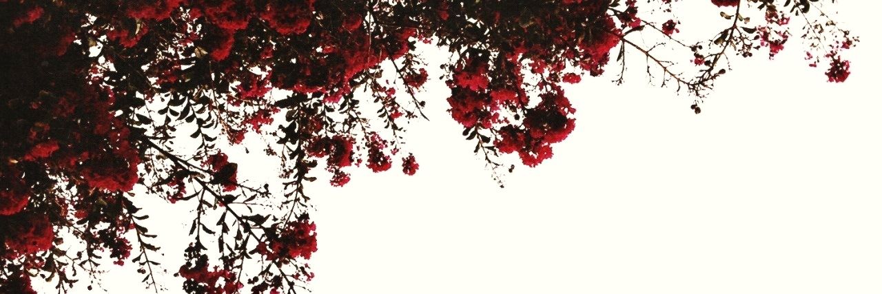 falling_summer_'s profile banner image