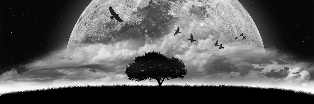 🐳 ₳-Bluezy-₳ 🐳 🇬🇧 🏴󠁧󠁢󠁥󠁮󠁧󠁿 🇬🇧 banner